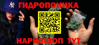 твердый Новодвинск